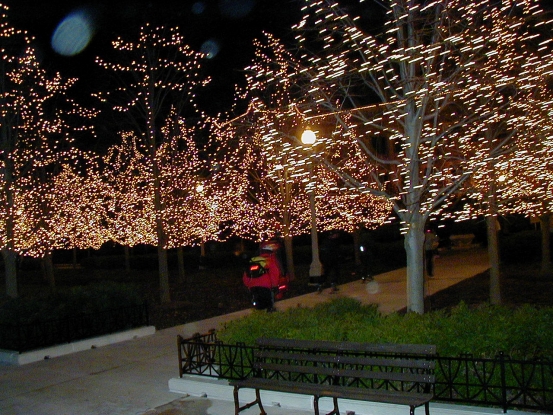 A Bright skater does the bright lights of Museum Campus.